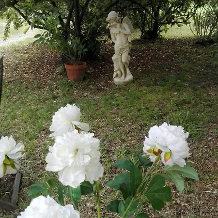 Bed & Breakfast Nuit D'ange D'uzes Uzès